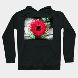 Red Daisy Hoodie